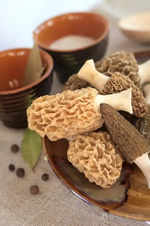 上一盘新鲜羊肚菌蘑菇