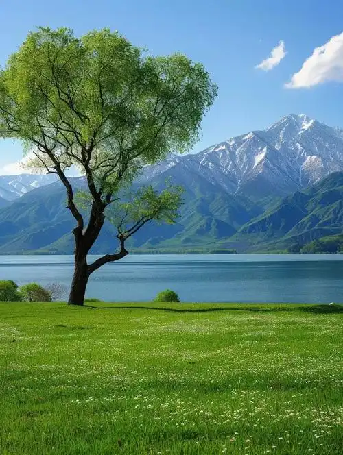 林徽因##文学有得聊##2024新年书单