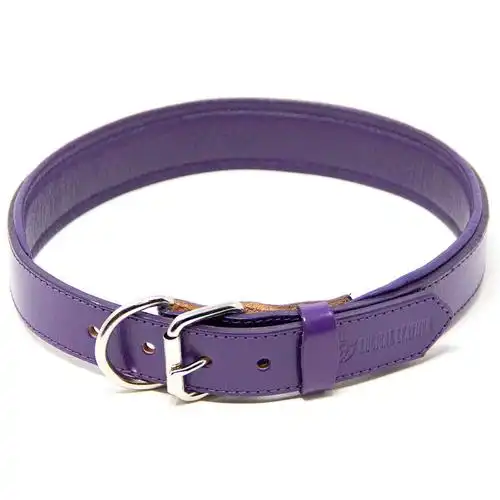 加工定制宠物用品工厂直销宠物项圈pu狗皮带现货供应狗用品狗项圈