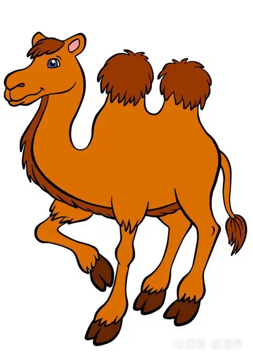 可爱的骆驼站和微笑