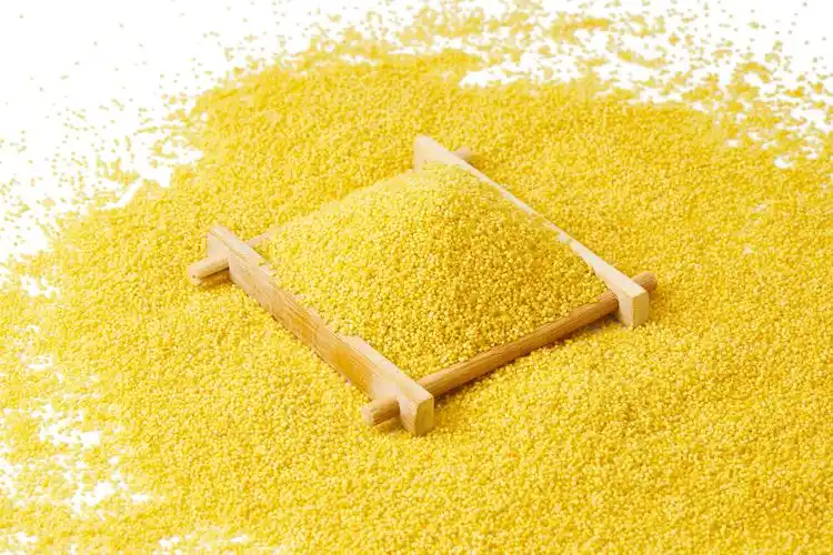 水果果蔬背景图片白底一侧黄小米一堆粮食平铺黄小米散落米粒散落黄小