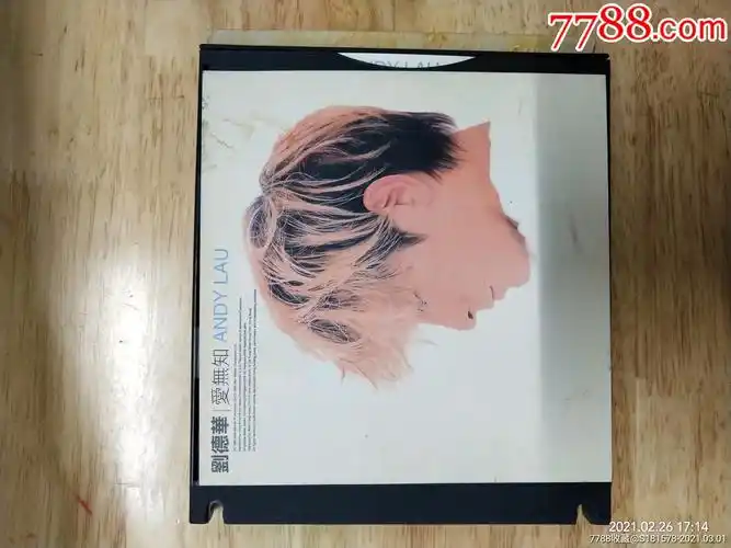 刘德华《爱无知》