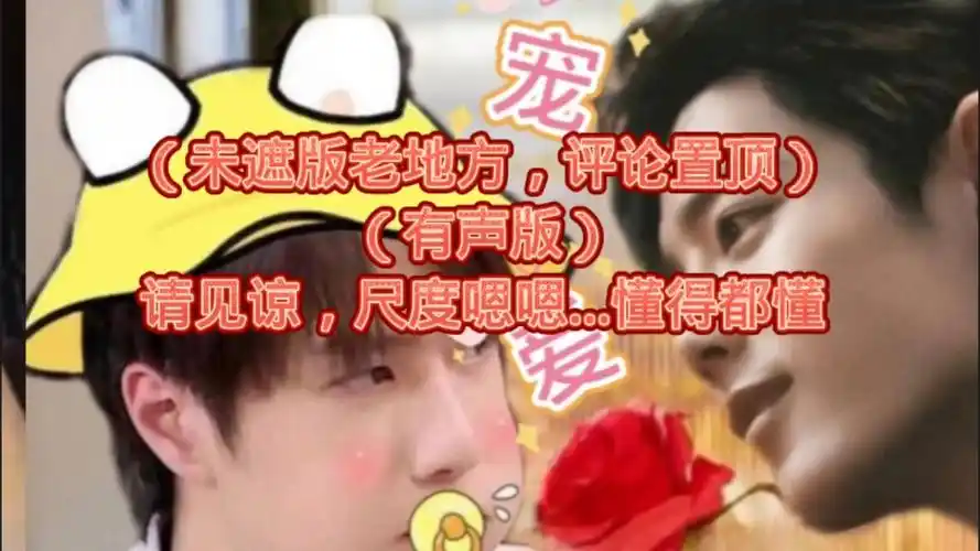 《宠爱》85 宠妻狂魔肖战vs小傻子王一博 战山为王 生子 双洁