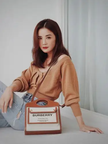 蔡卓妍温婉知性写真图片13