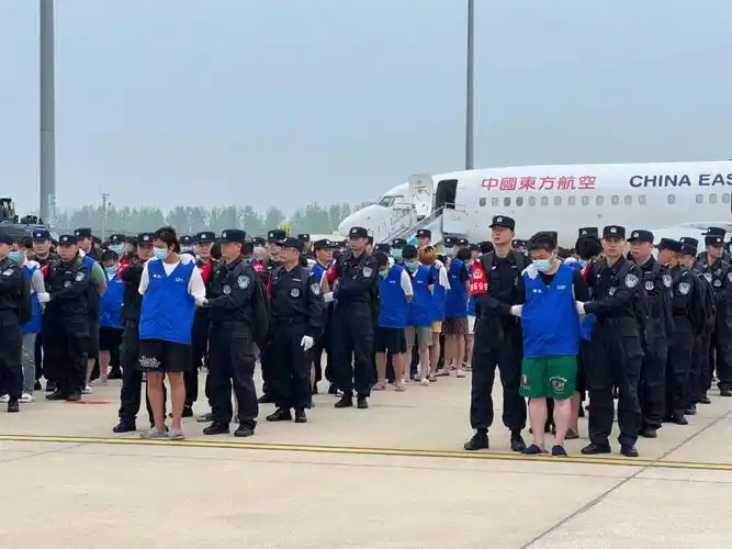 首批130名中国籍涉赌诈违法犯罪嫌疑人从柬埔寨押解回国|柬埔寨_新浪