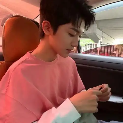 玫瑰低语-李天泽-爱豆头像铺sq-话本小说网