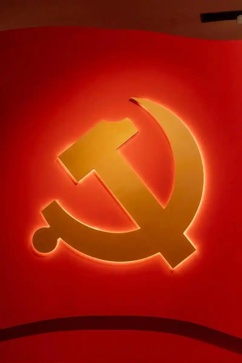 党旗照我去奋斗 #党章学习 #永远跟党走共筑中国梦 #不忘 - 抖音