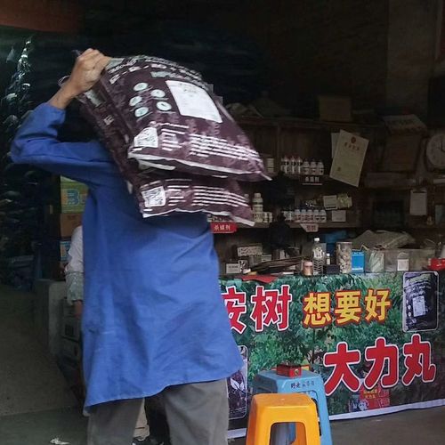 【大力丸】大颗粒复合肥,桉树果树追肥专用,缓释控释,肥效持久