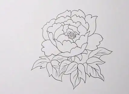 牡丹花怎么画简笔画步骤
