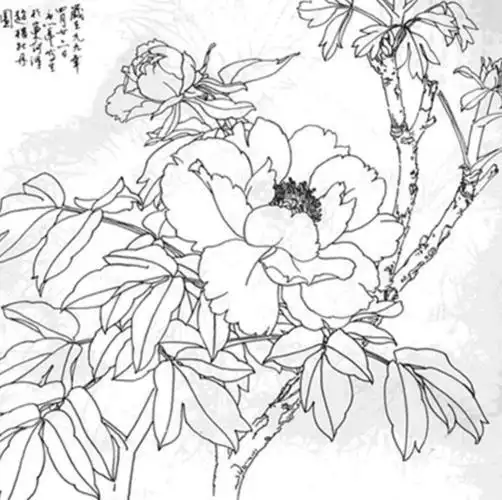 花鸟画入门简笔画