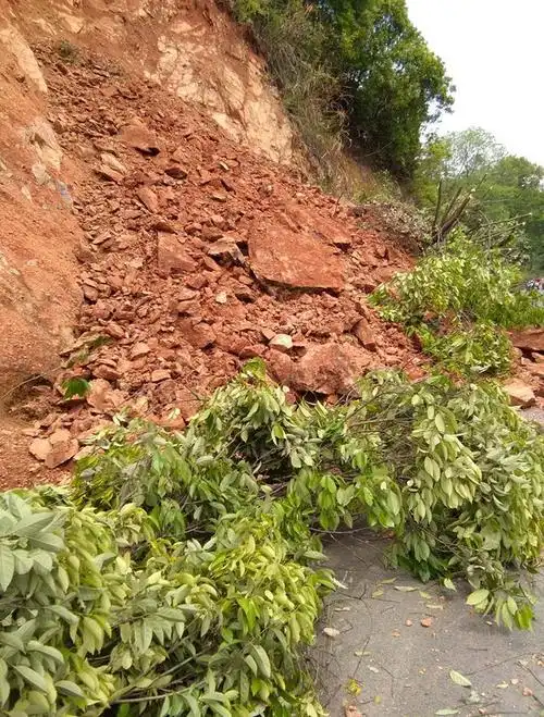 箬坑乡发生塌方交通阻断,众人紧急疏通路段!