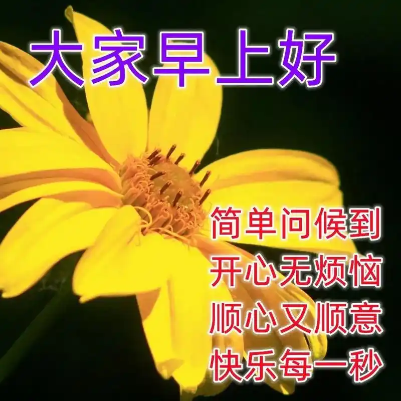 周末问候大家早上好动态图片祝福 早安动态图片大全