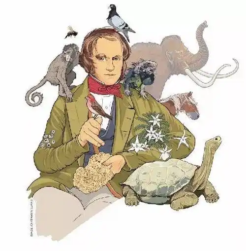 达尔文的机缘甲虫鸵鸟肉一艘船和适者的产生