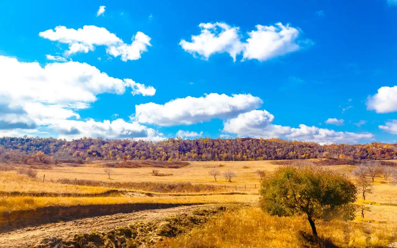 广阔无垠的大草原萧瑟秋季风光win7高清电脑桌面壁纸_风景壁纸_壁纸