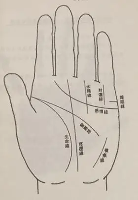 生命线:从大拇指和食指之间出发,呈弧形而包围着金星丘,显示寿命,健康