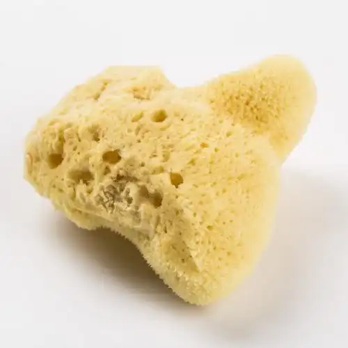 a天然海绵丝海绵洗脸卸妆