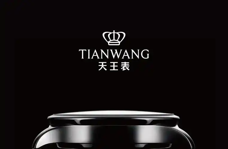 品牌设计,logo设计,品牌vi形象升级,知名腕表,天王表