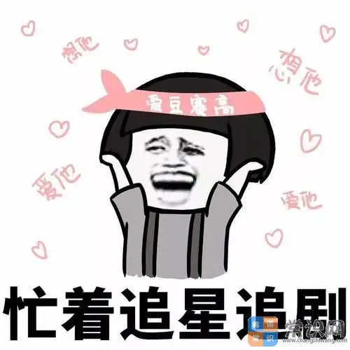 "追星" 用韩语怎么说?