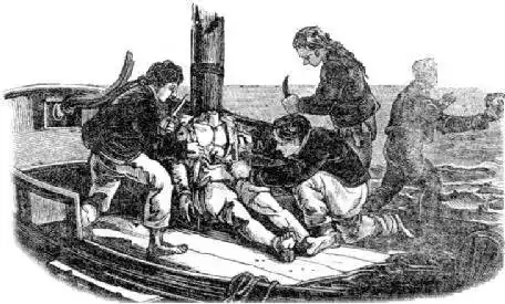 人吃人惨剧究竟是谁的错 , 影视剧中的小历史2