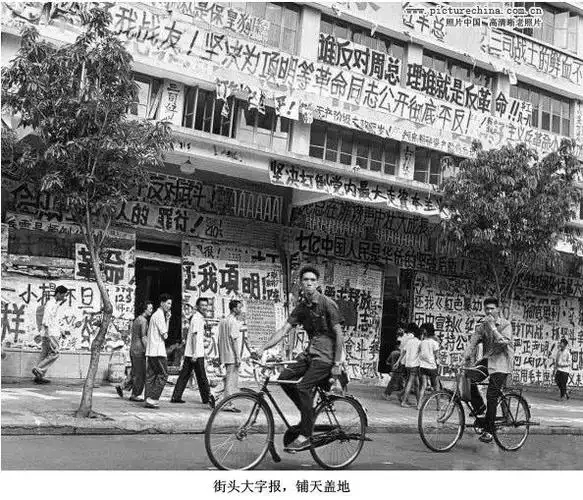 回看大字报( 16张 )