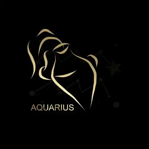 金色水瓶座|平面|图案|danahua - 原创作品 - 站酷 (zcool)