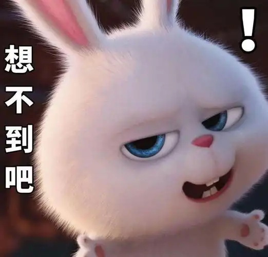 爱宠大机密兔子【相关词_爱宠大机密兔子头像】