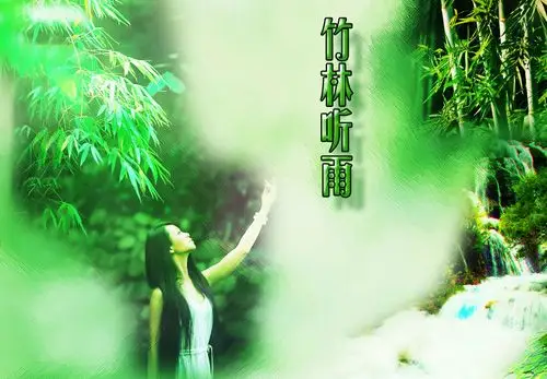 【朗诵】竹林听雨