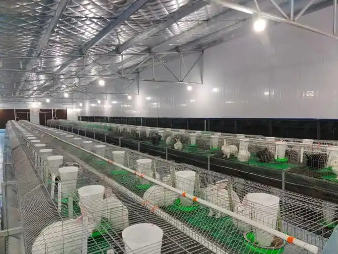 花炮退出企业嬗变为养兔场