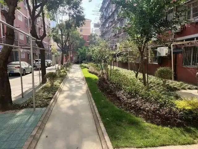 旧貌换新颜!看看普陀这几个老小区你还认得吗?