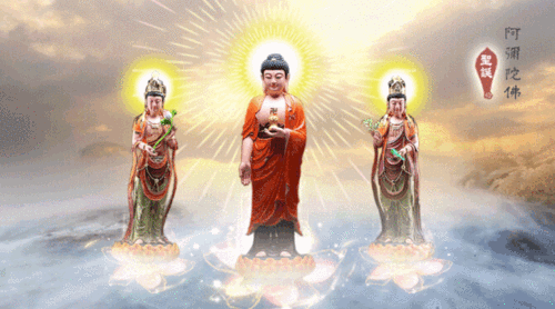 恭迎阿弥陀佛圣诞|无量光,无量寿|菩萨|极乐|接引_网易订阅