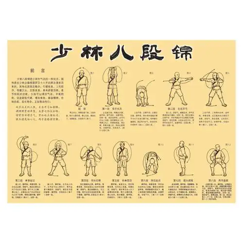 海报少林八段挂图中医养生文化宣传展板养生图片写真