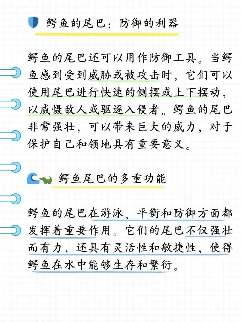 鳄鱼的尾巴有什么作用  昨天带儿子去动物园游玩,儿子看到鳄鱼的时候