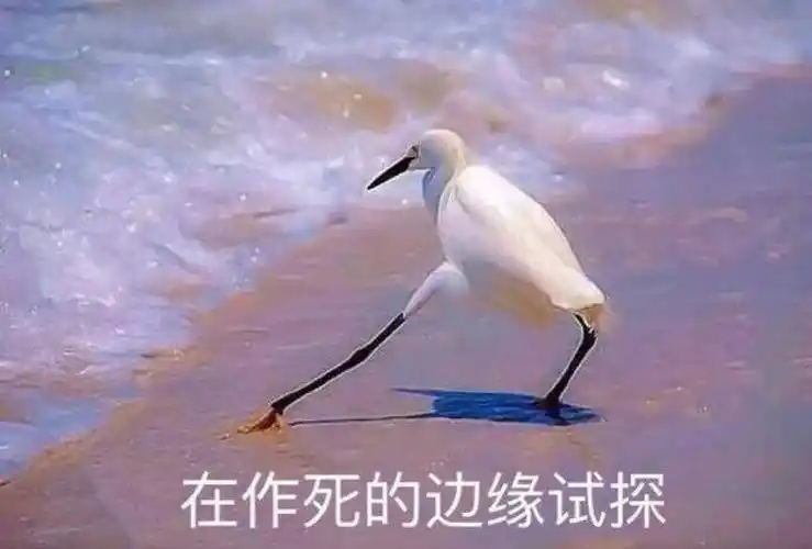 一起可爱一起沙雕～ - 堆糖,美图壁纸兴趣社区