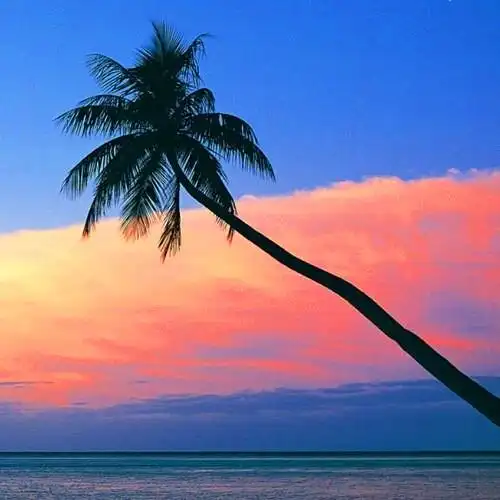 抖音图片最火头像风景