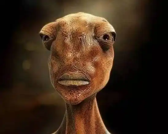 一亿年后的人类图片