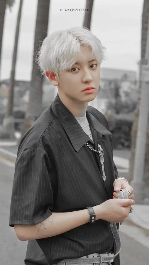 exo朴灿烈高清壁纸exocs小分队高清官网