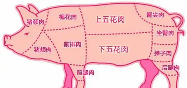 上五花肉上五花肉指的是在猪肋骨外层覆盖的那部分肉,当商贩把猪的