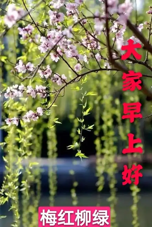 大家早上好图片