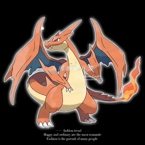 宝可梦 图鉴 第48名 超级喷火龙y(小火龙)