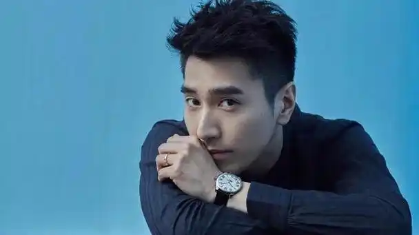 回顾吴京捧红的白眼狼爆红后反咬吴京今沦落到无戏可拍