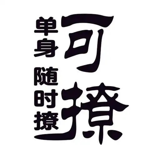 贴纸单身可撩车创意个性文字汽车网红搞笑车身装饰汽车装饰贴