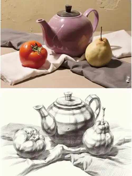 素描结构素描静物组合初学者为什么要学