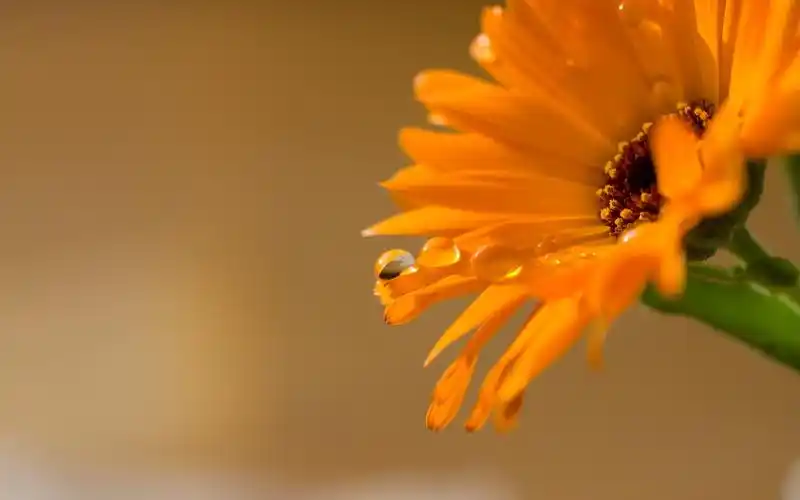 12月精选自然风光壁纸