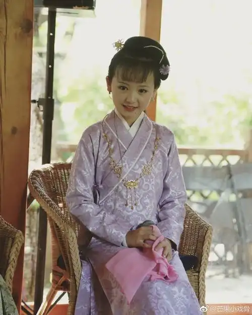 《小戏骨红楼梦》薛宝钗