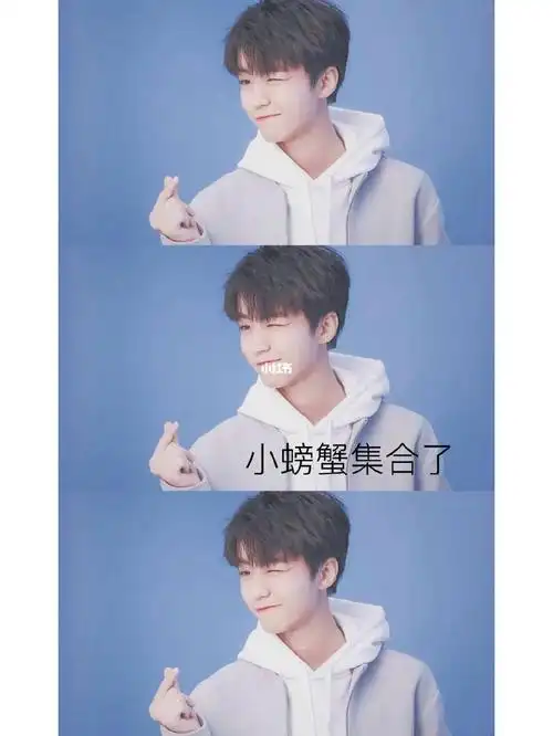 小螃蟹宝藏男孩王俊凯