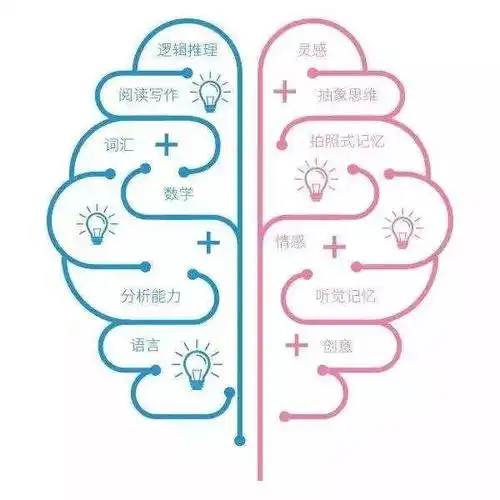 精准测试:一张图分出你是用左脑还是右脑