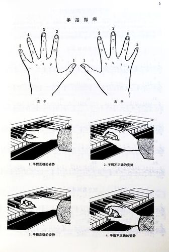 正版包邮车尔尼599钢琴书车尔尼钢琴初步教程哈农钢琴练指法拜厄钢琴