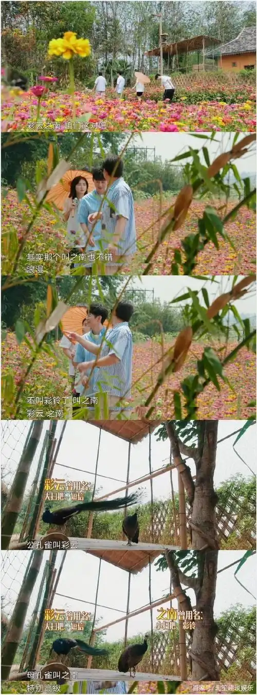 《向往的生活》第四季终于来了,嘉宾名单让人不自觉欢雀!