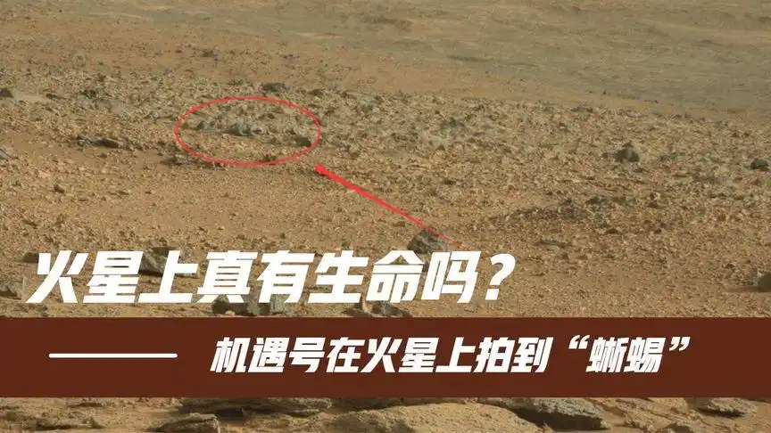 火星上真有生命吗?机遇号在火星上拍到的"蜥蜴",是什么东西?
