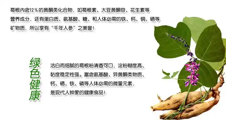 葛根的作用与功效禁忌